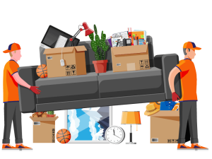 شرکت زیباکار